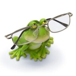 Store pie sej Brilleholder | Ko | Hold styr på brillerne