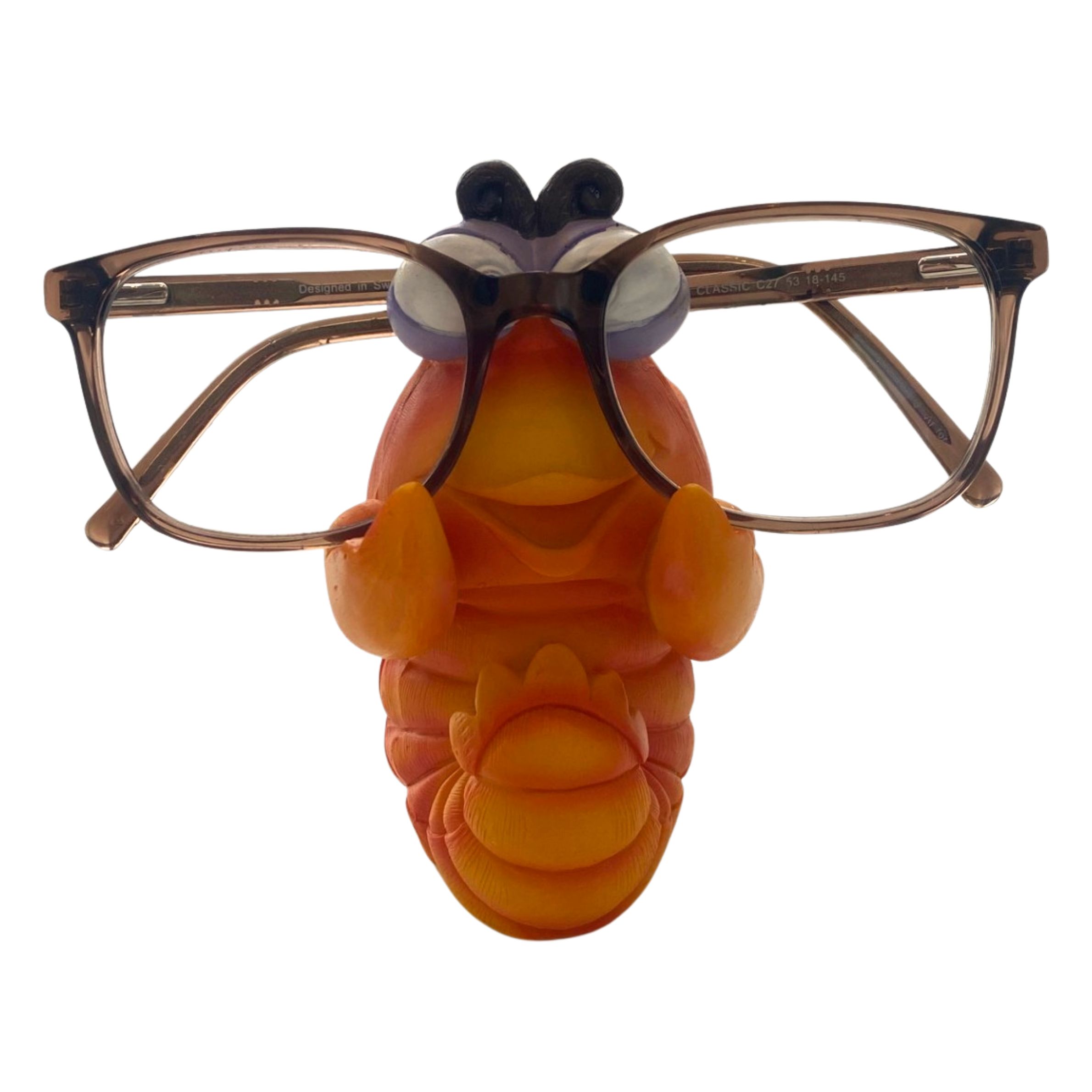 By bers brilleholder, der ligner en reje. Illusteret med briller på.