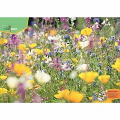 Plakat fra ORTOPAD med blomser.